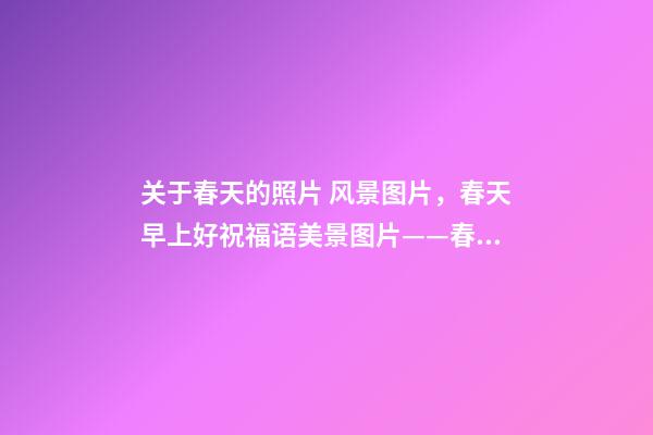 关于春天的照片 风景图片，春天早上好祝福语美景图片——春暖花开时-第1张-观点-玄机派